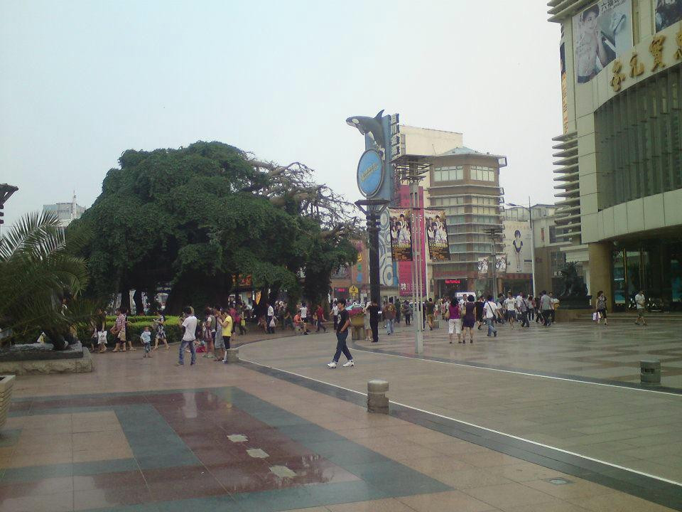 天津塘沽金街-天津市必去景点