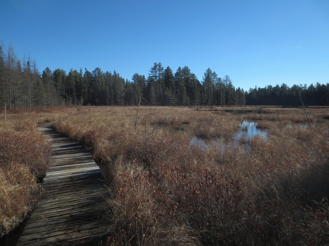 Bat Lake Trail景点图片