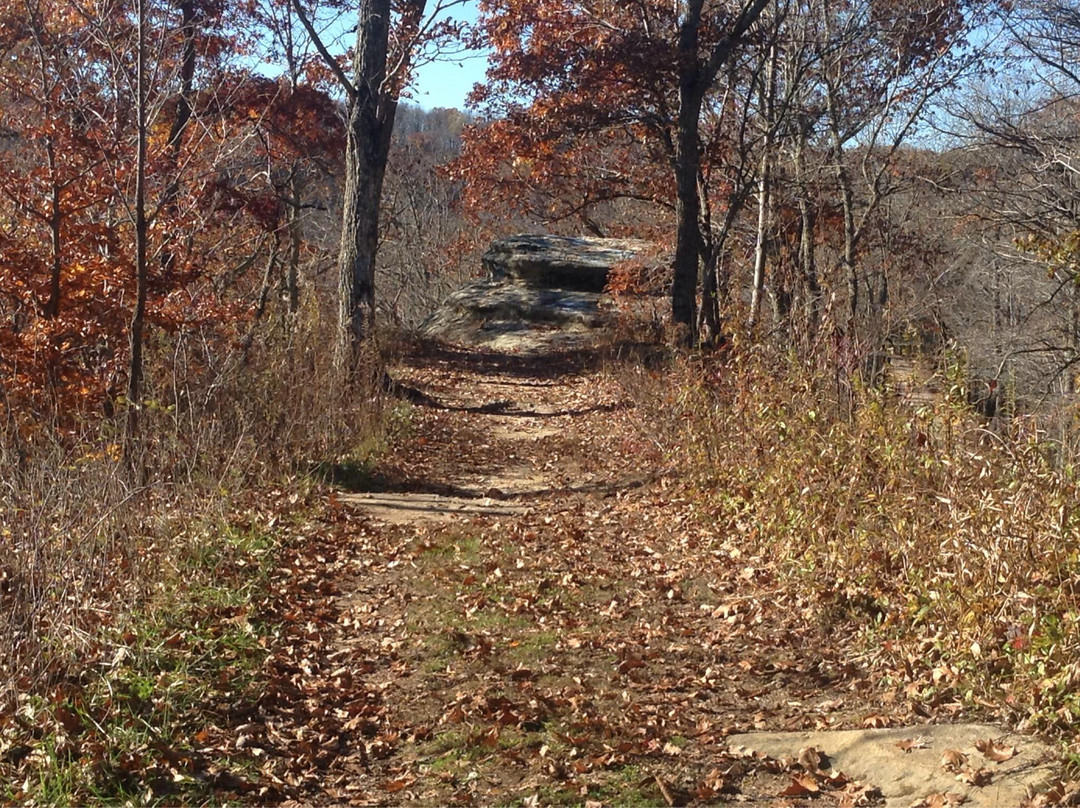 Zaleski State Forest-Zaleski必去景点