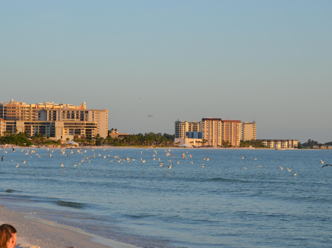 Lido Beach旅游攻略图片