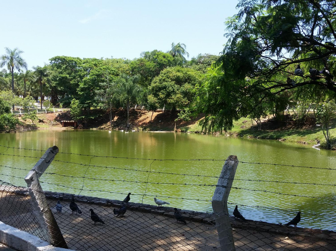 Bosque dos Guarantãs-坎皮纳斯必去景点