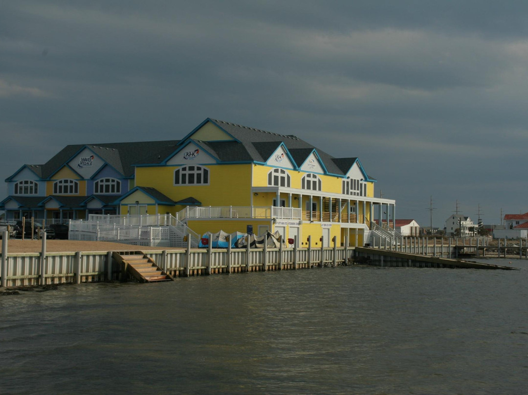 Kitty Hawk Kites景点图片