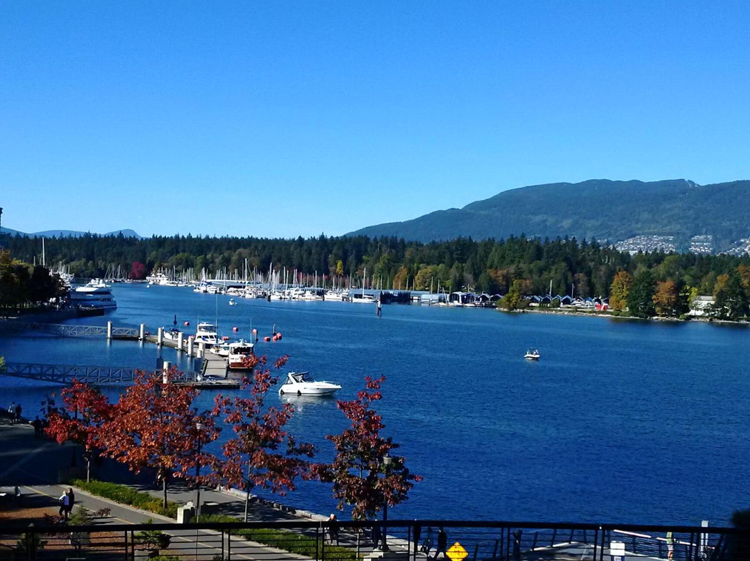 Coal Harbour旅游攻略图片