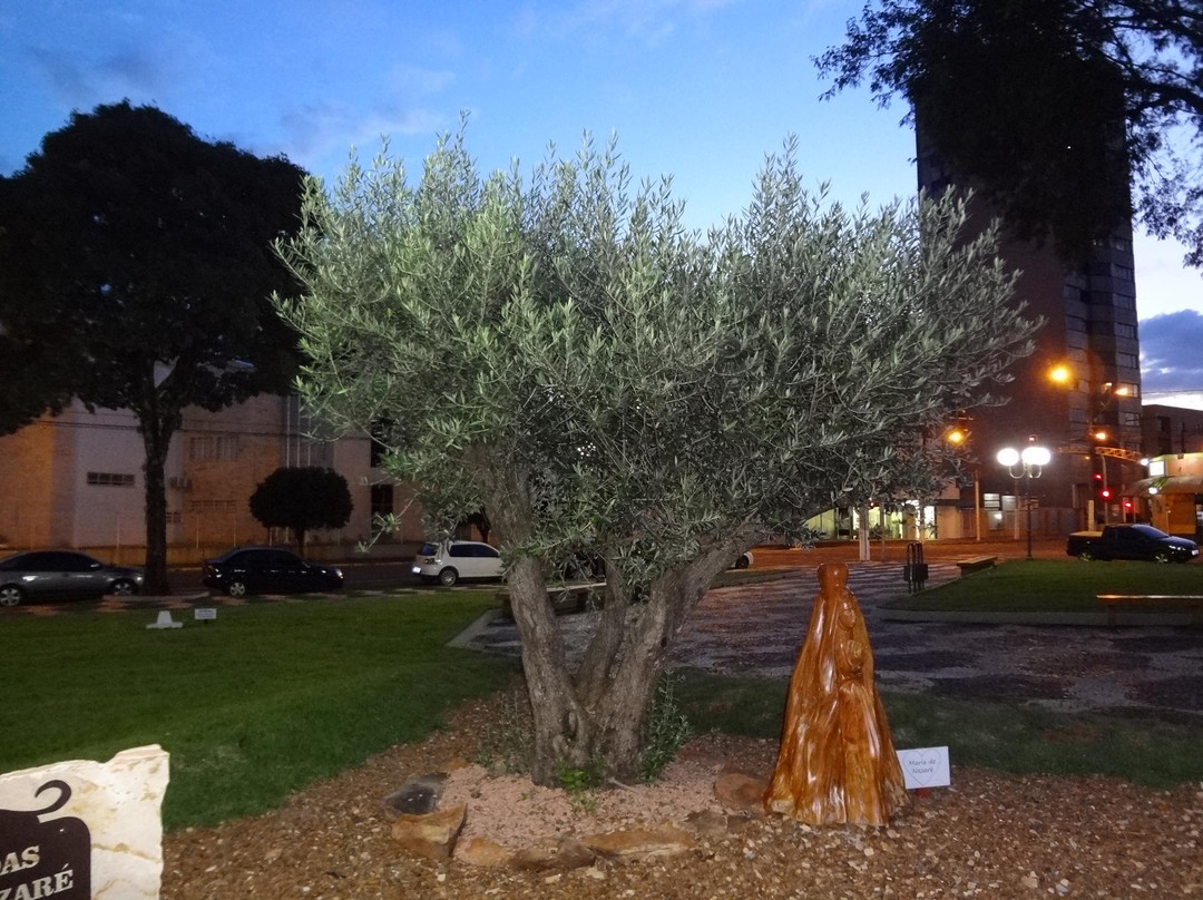 Igreja Matriz Sao Jose-Rolandia必去景点