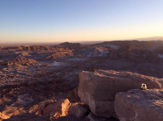 Etnikus Chile- Day Tours-普孔必去景点