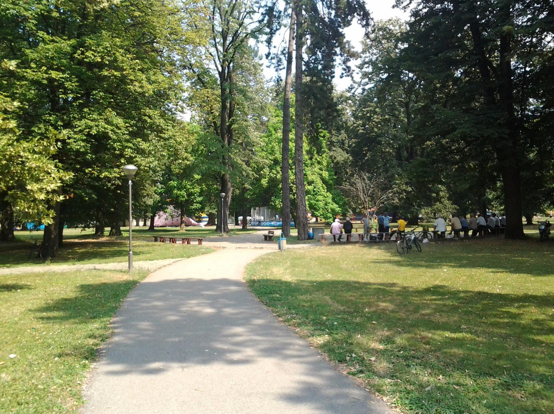 Mladen Stojanovic Park景点图片