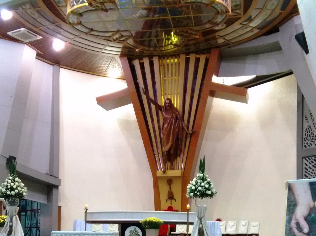 Catedral Cristo Rei景点图片
