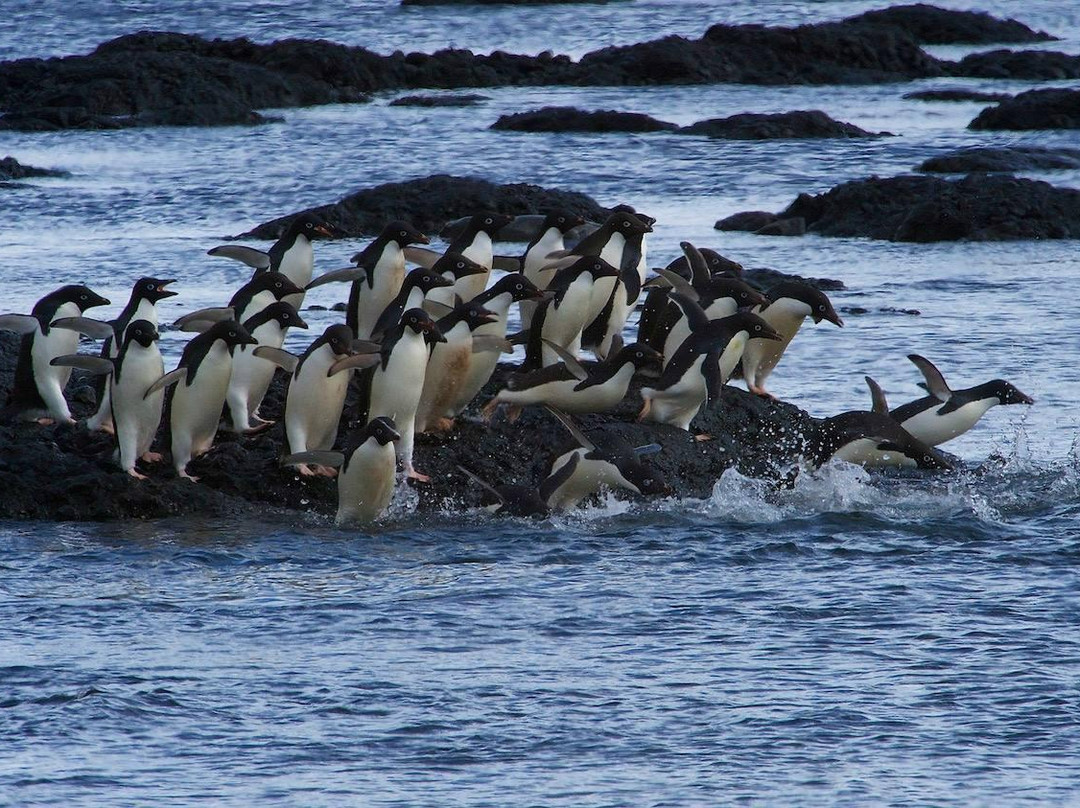 Vernadsky Research Station-Antarctic Peninsula必去景点