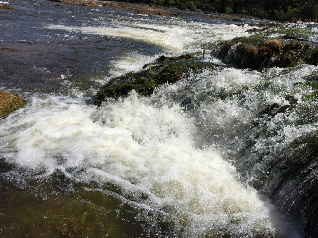 Amapari旅游攻略图片