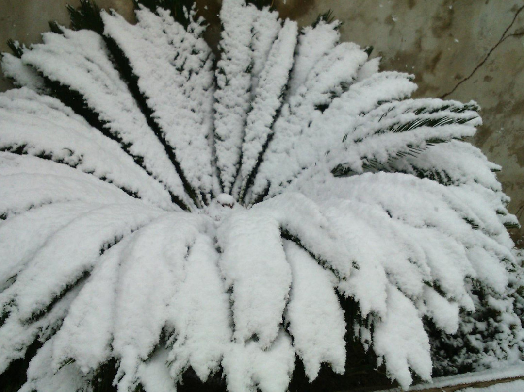 Margarita Guest House主图