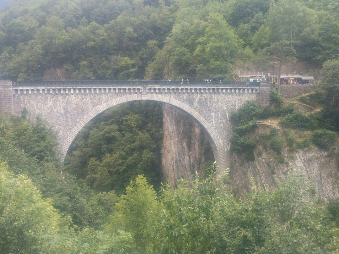 Bridge of Napoleon景点图片