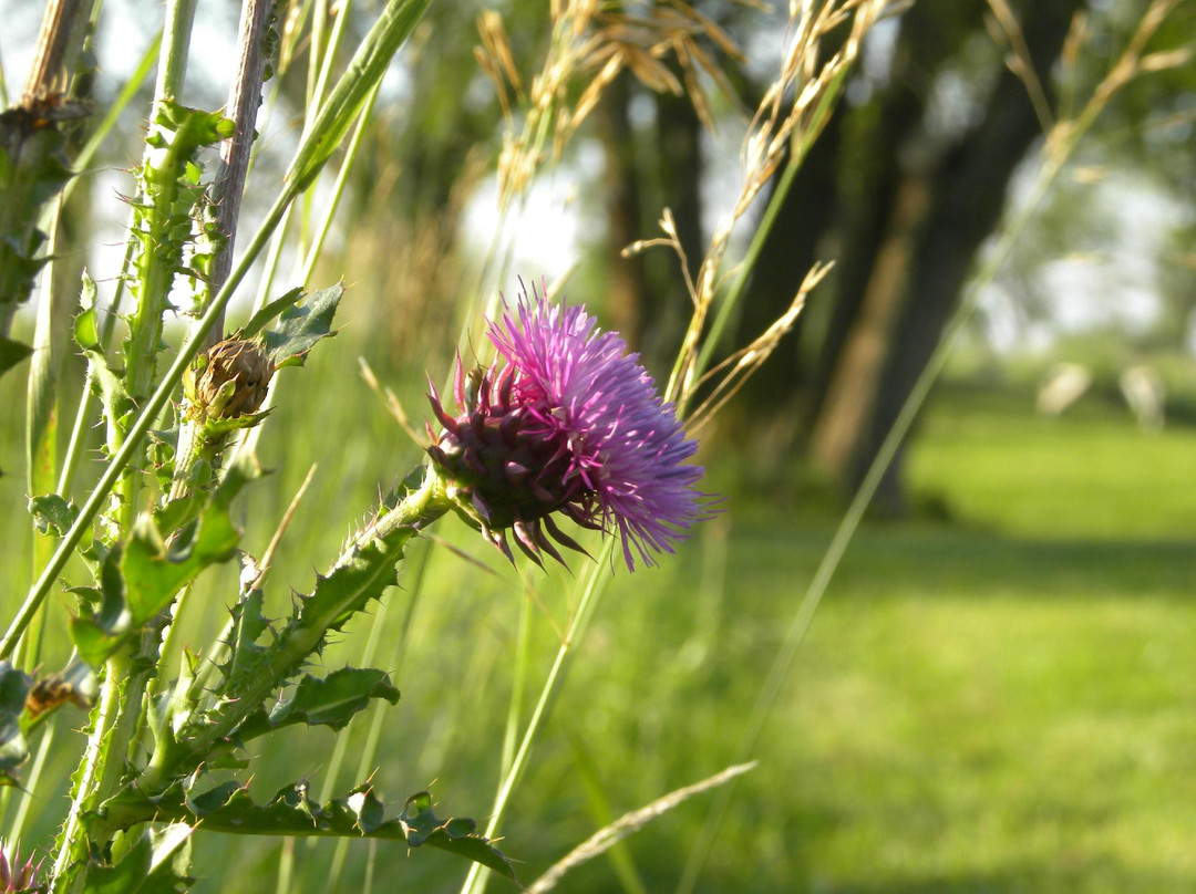 Smithville Lake-Smithville必去景点