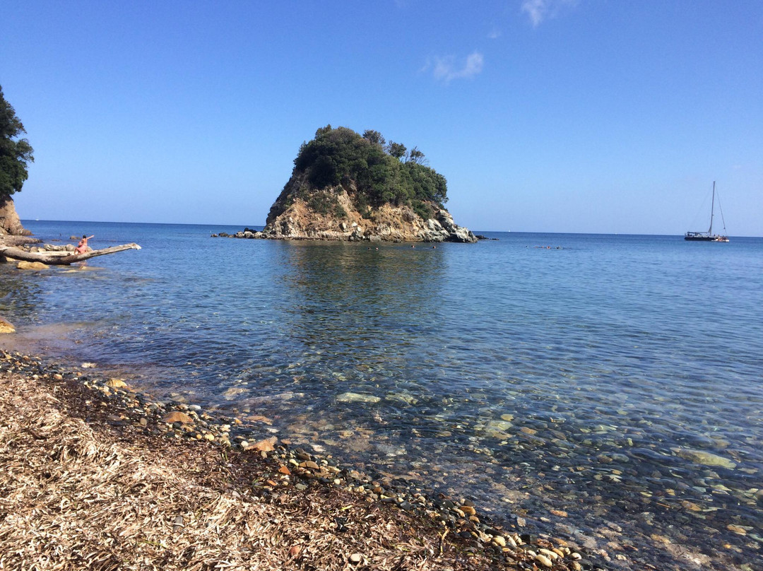 Spiaggia della Paolina景点图片