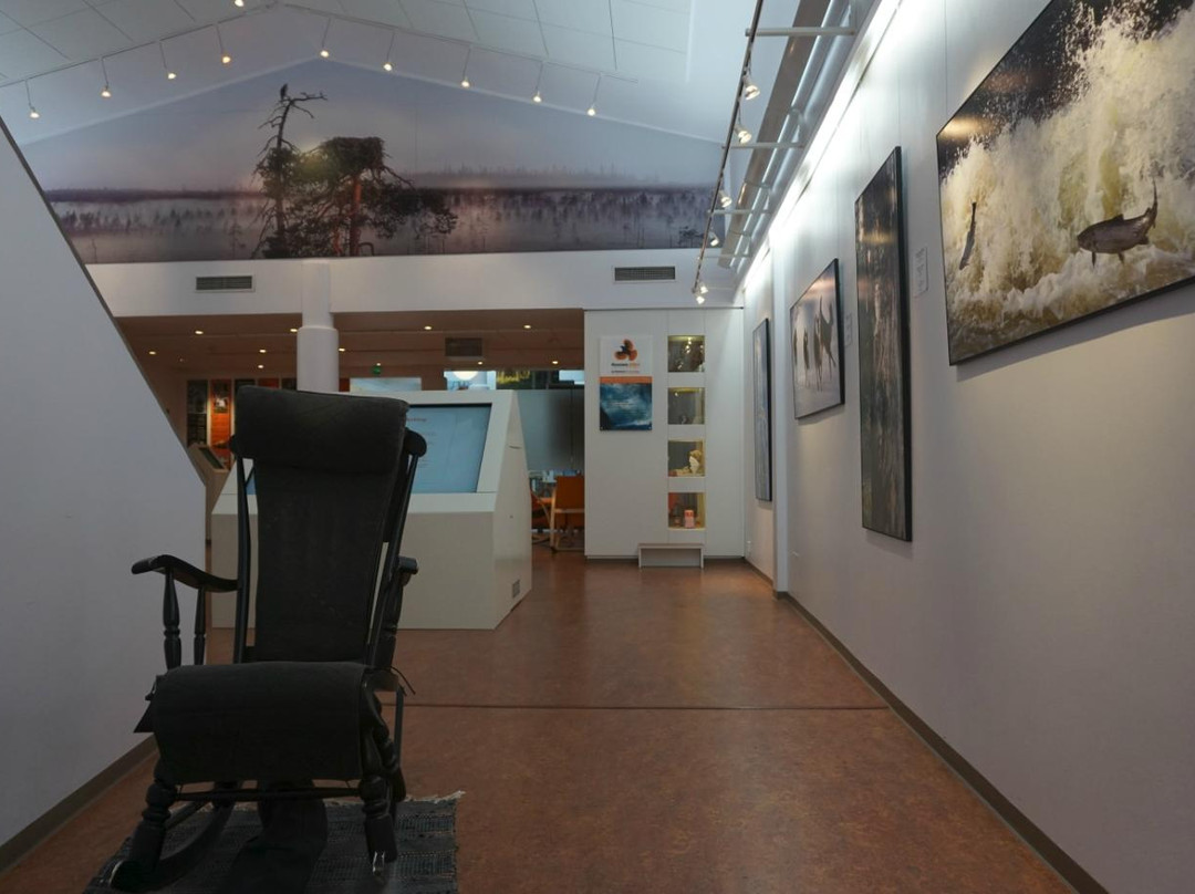 Hannu Hautala Nature Photography Centre-库萨莫必去景点