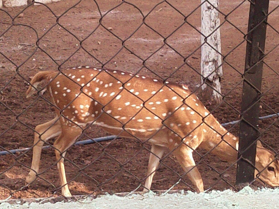 Nandan Van Nature Center景点图片
