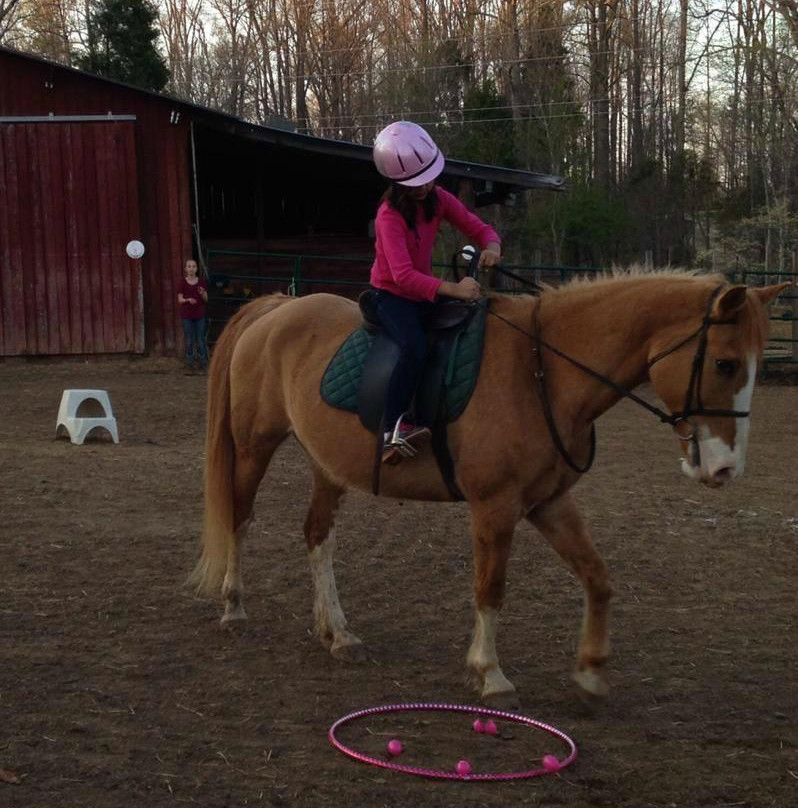 Gold Leaf Training-Kernersville必去景点