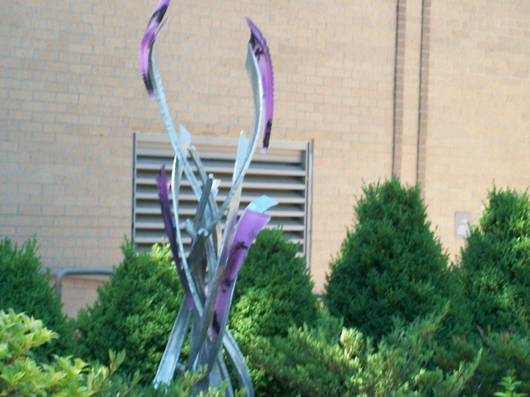 Columbus Botanical Garden-哥伦布必去景点