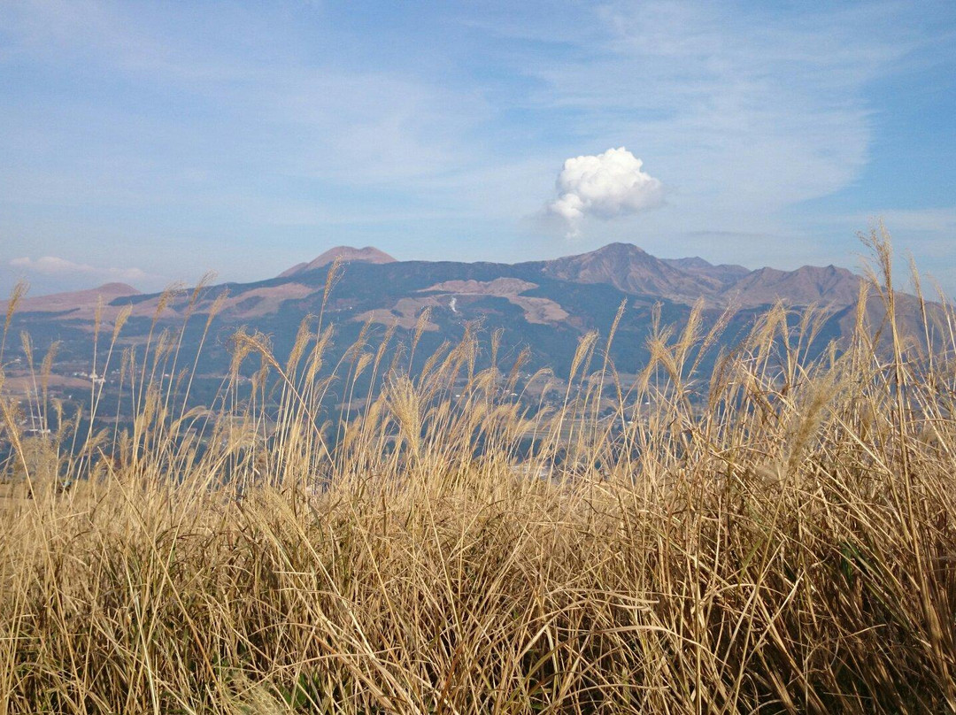 Mt. Tawarayama景点图片