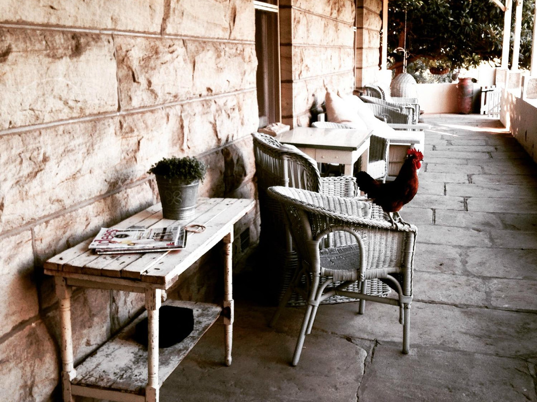 Frankfort酒店住宿-Woudzicht N3