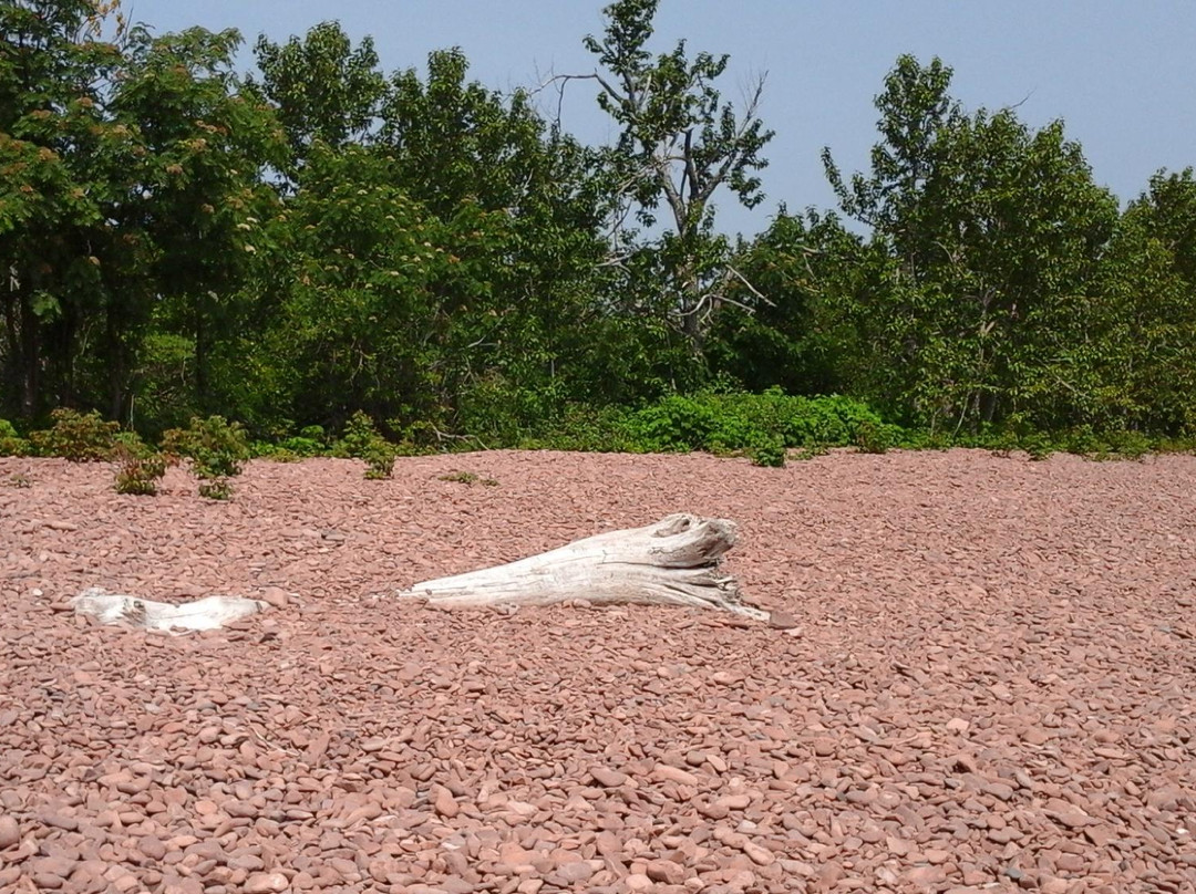 Iona's Beach Scientific and Natural Area-Two Harbors必去景点