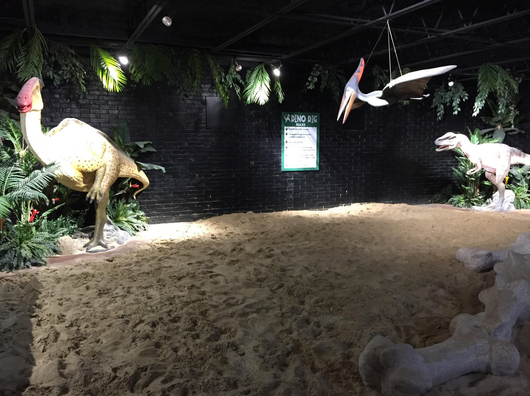 Dino Dig-Murfreesboro必去景点