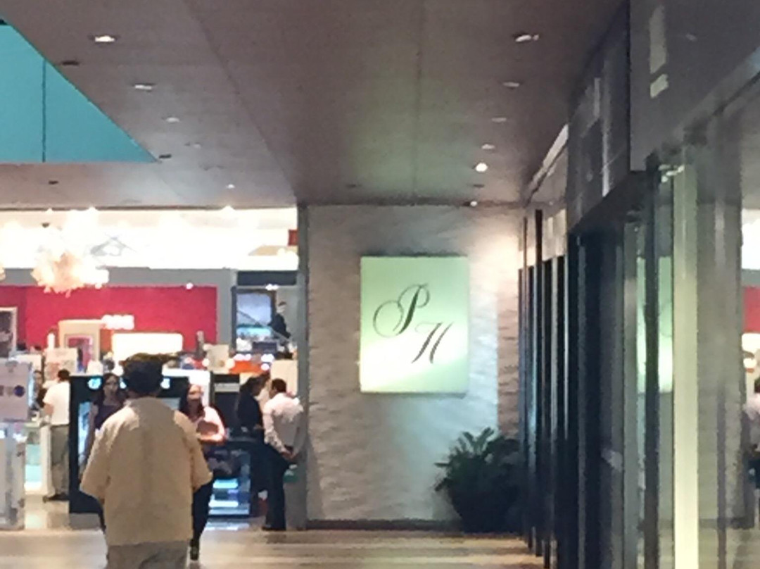 Paseo San Pedro Centro Comercial景点图片