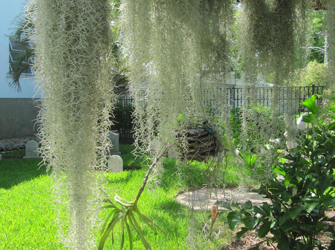 Saint Mary Star of the Sea-基韦斯特必去景点