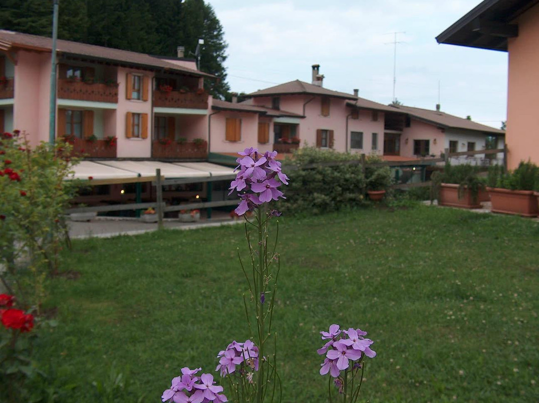 Hotel Edelweiss主图