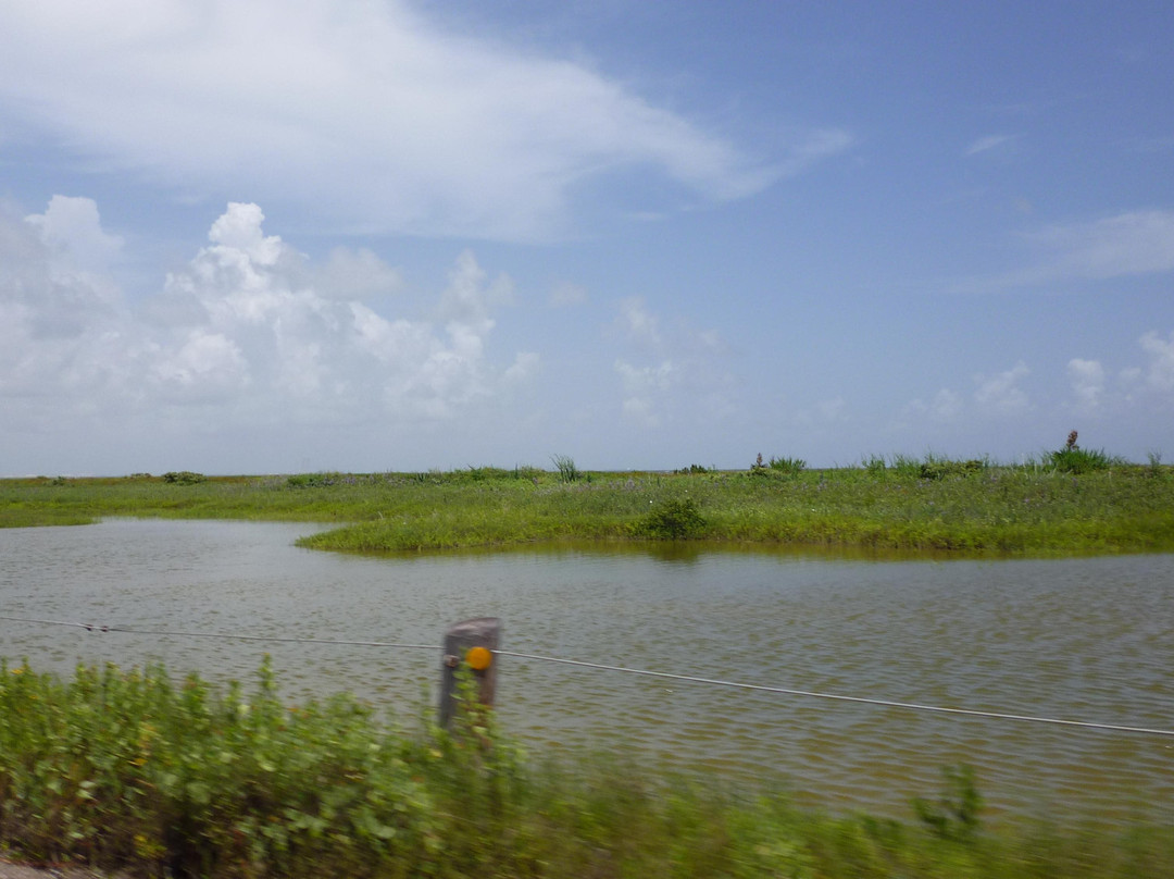 Indian Point-科珀斯克里斯蒂市必去景点
