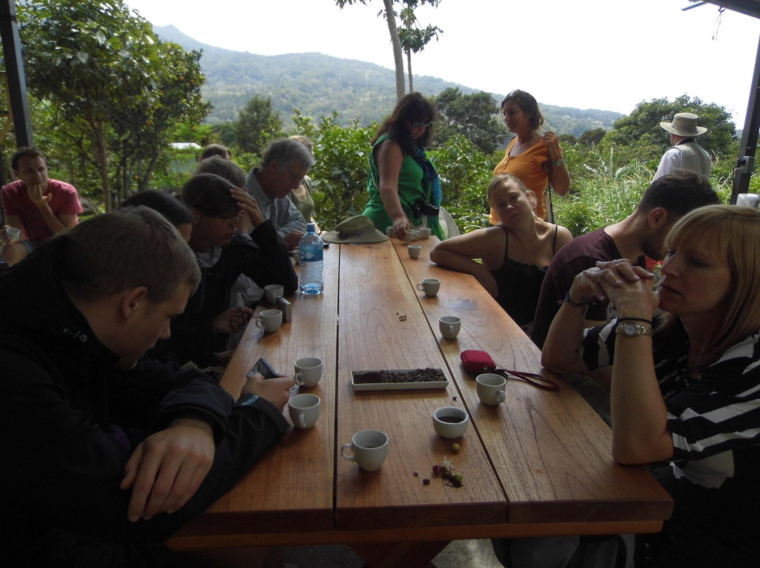 El Jardin Del Cafe景点图片
