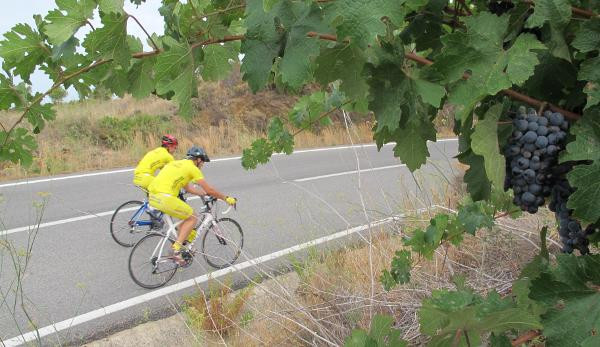 Mediterrania Cycling Tours景点图片