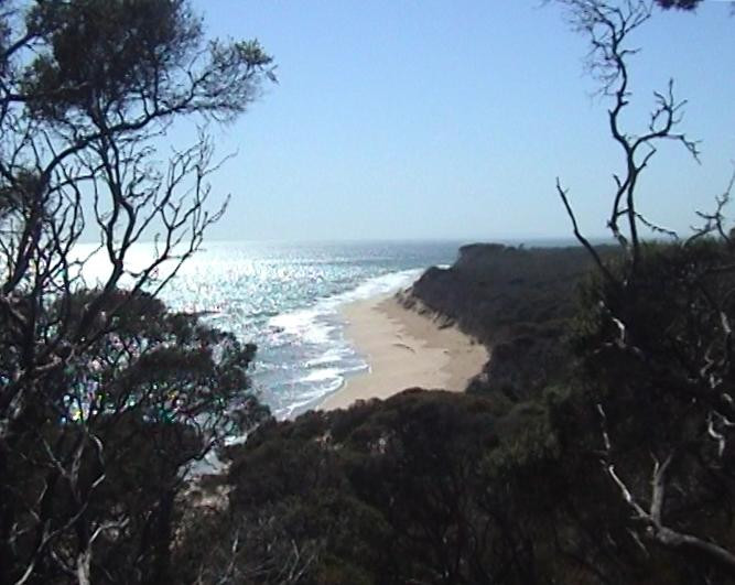 Point Nepean National Park-波特西必去景点