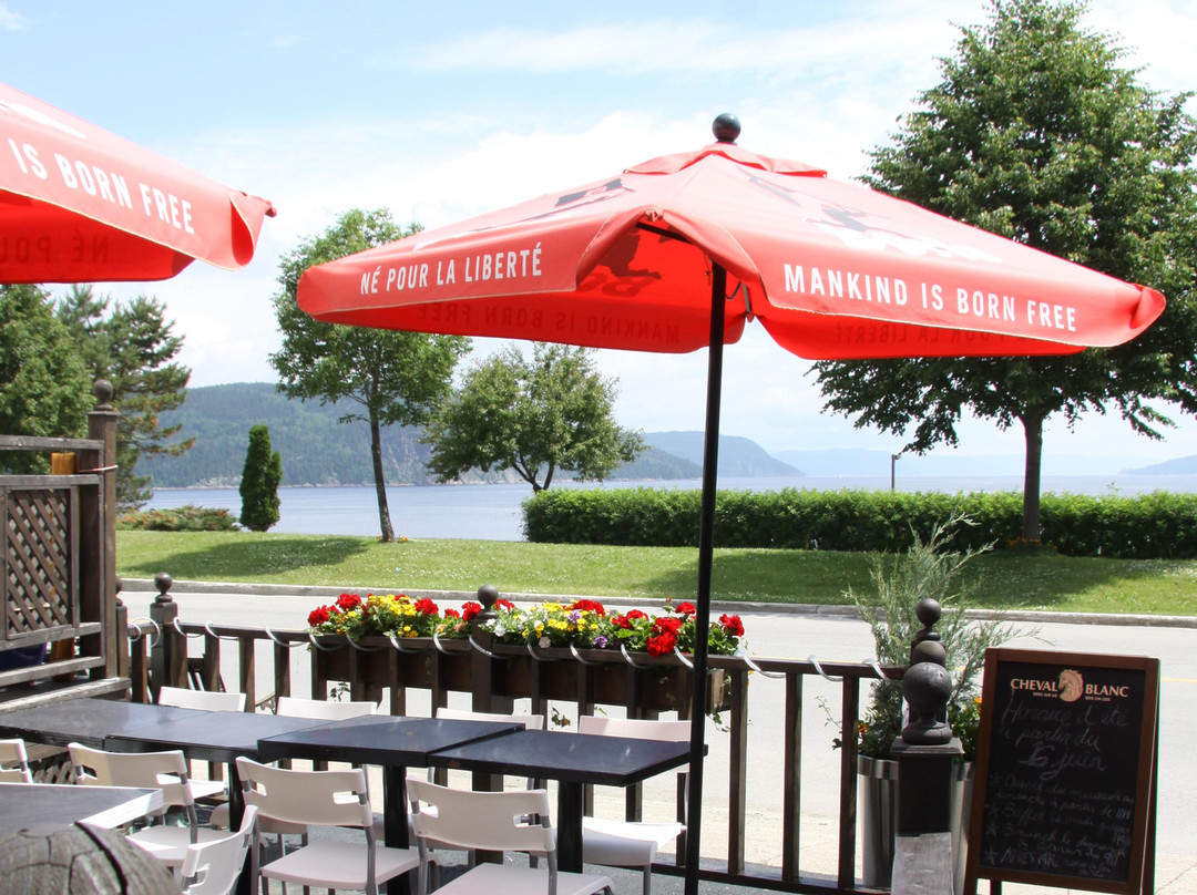 La Grange aux hiboux主图