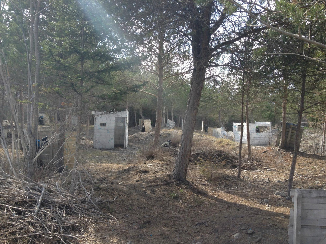 Paintball Sport Arena景点图片