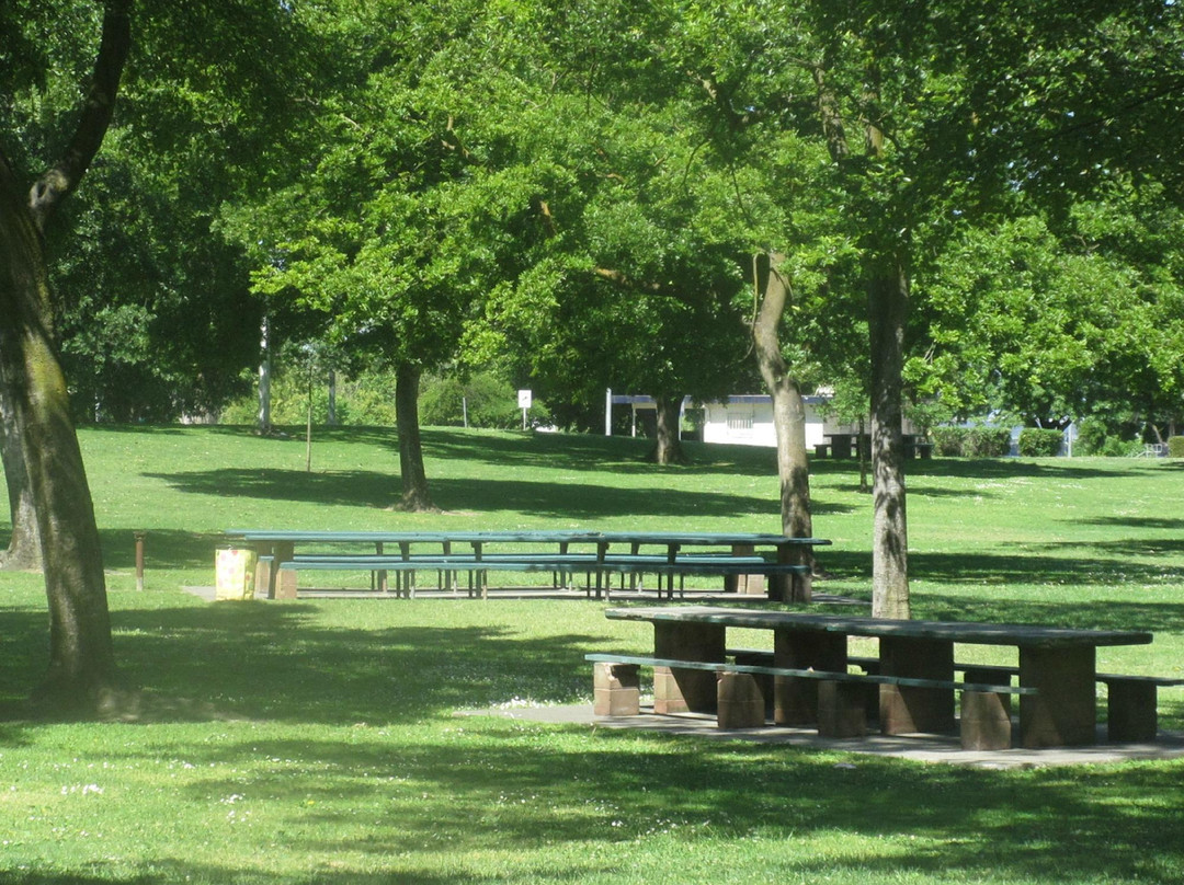 Pixie Woods - Louis Park-斯托克顿必去景点