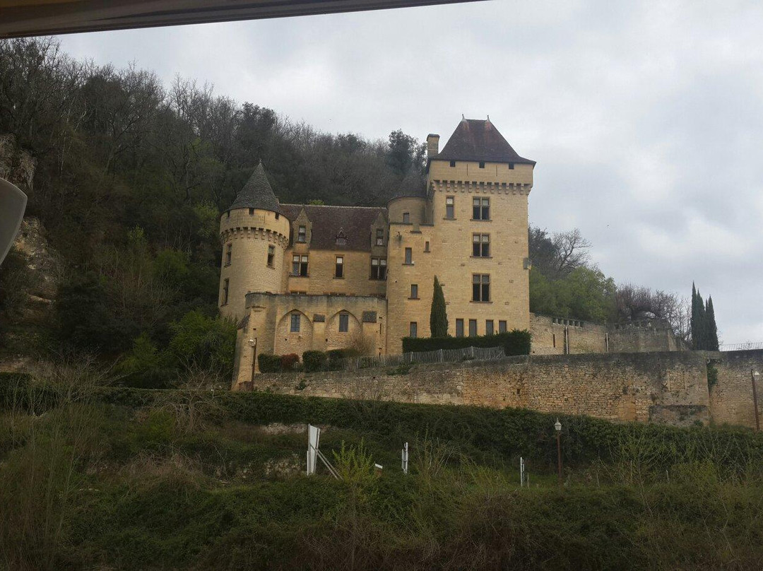 Dordogne Day Tours景点图片