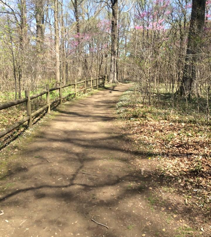 Mason Neck State Park-Lorton必去景点