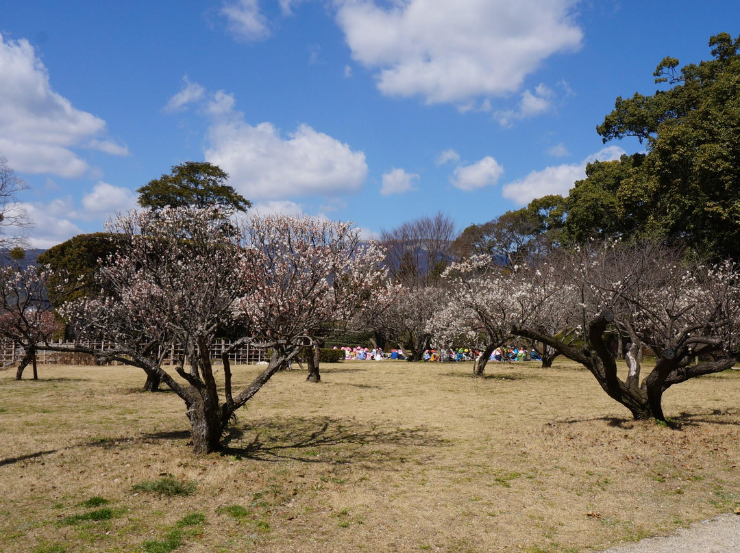 Ogi Park-小城市必去景点