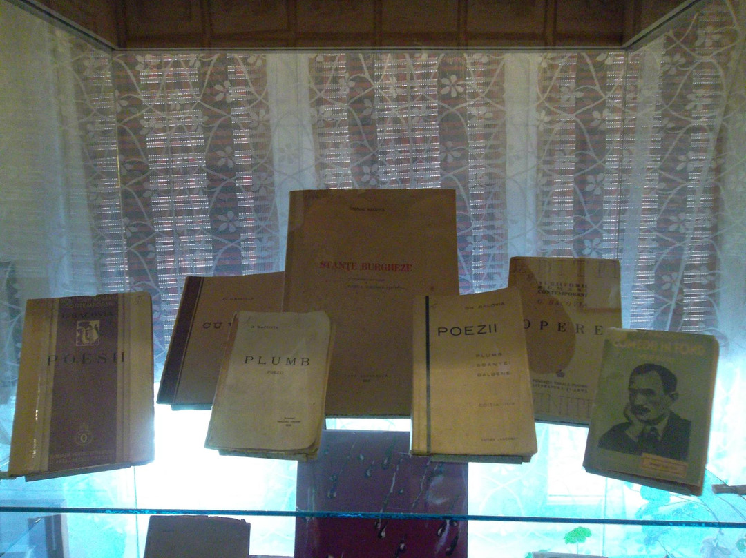 George Bacovia Memorial House-布加勒斯特必去景点