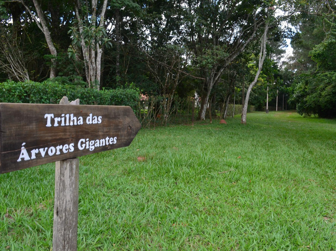 Parque Estadual Porto Ferreira-Porto Ferreira必去景点