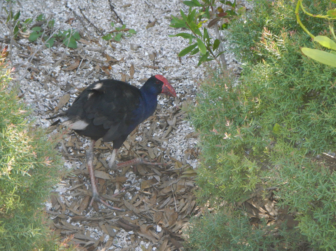 岩石池水上乐园-绍斯波特必去景点