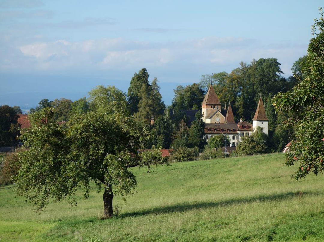 Schloss Muenchenwiler主图