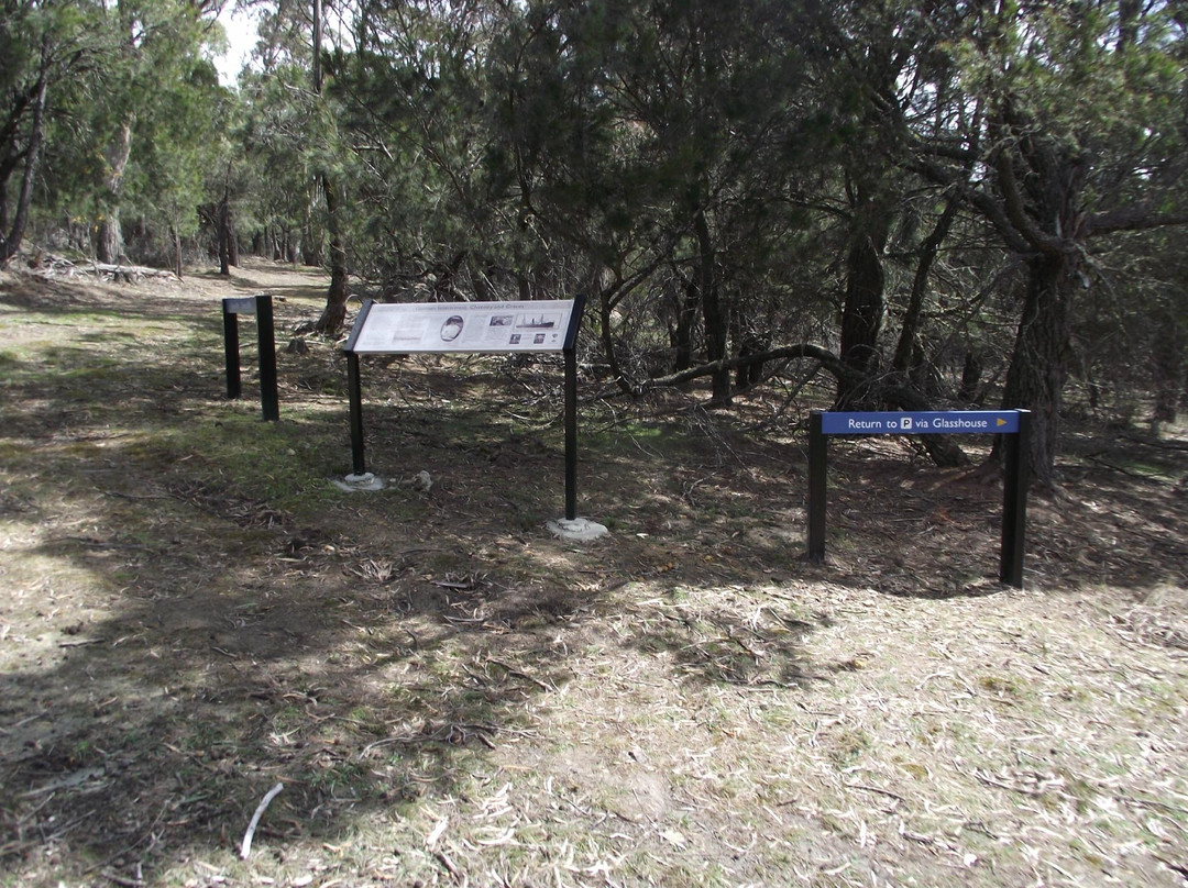 Bruny Island Quarantine Station景点图片