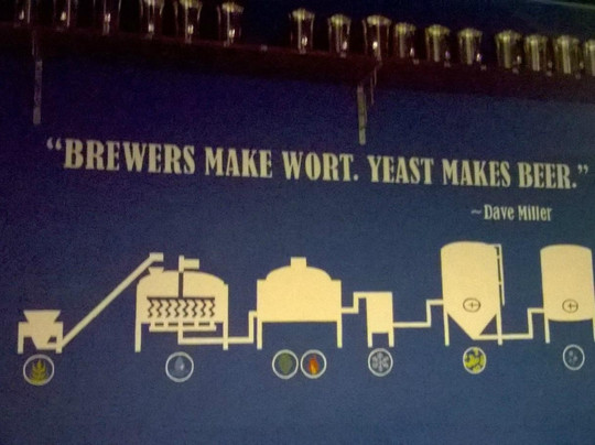 Blue Pants Brewery-Madison必去景点