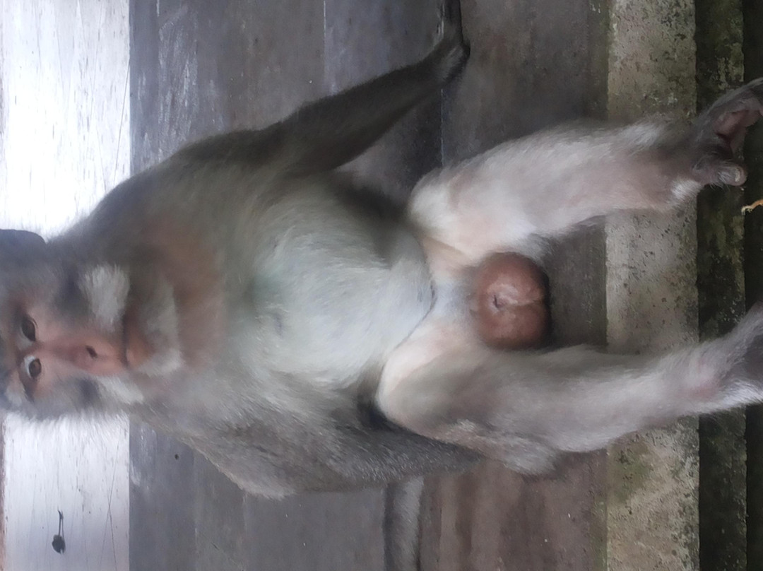 Bali Now Tour-金巴兰必去景点