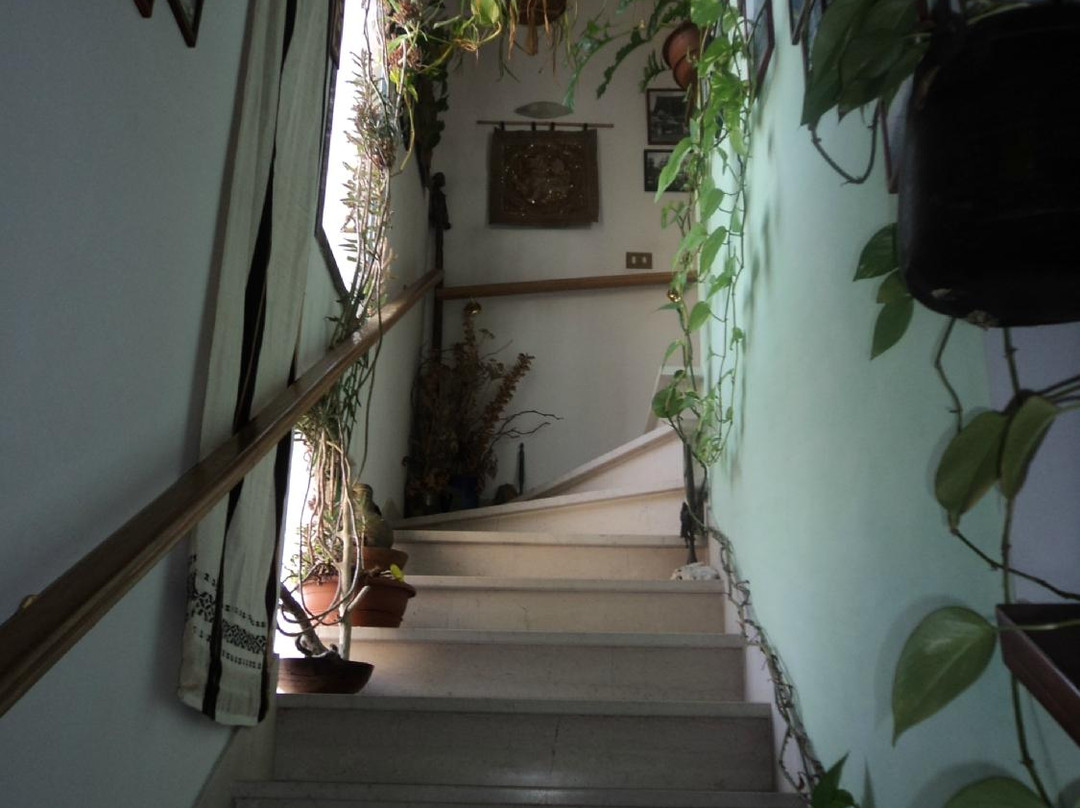 B&B Casabice主图