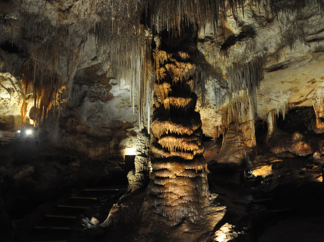 Tantanoola旅游攻略图片