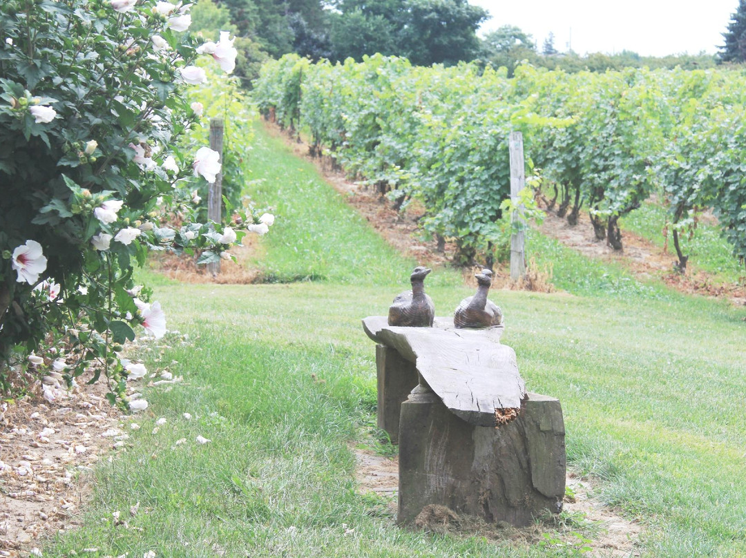 Harbour Estates Winery景点图片