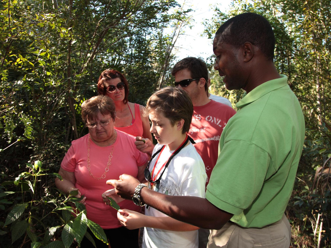 Bahamas Interisland Ecotours - Day Tours景点图片