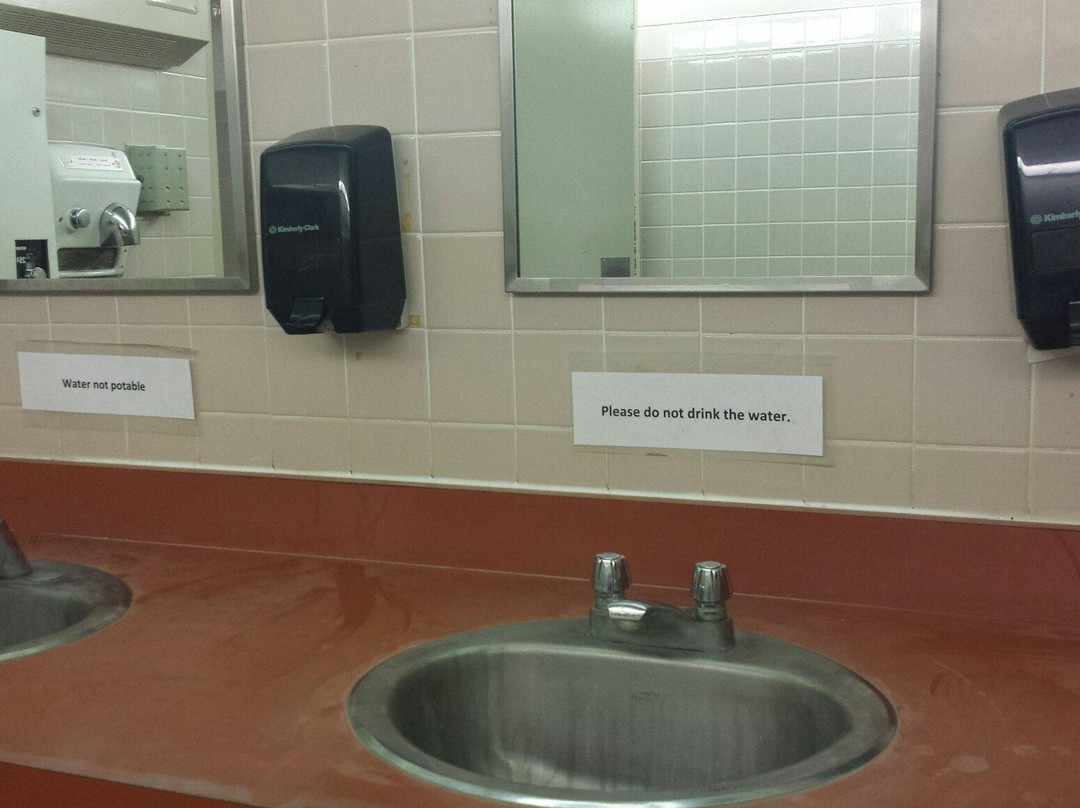 德逢尼植物园-德文郡必去景点